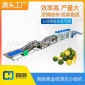 海南青金桔 清洗分级机 水果分选机 果蔬加工设备 厂家** 定制